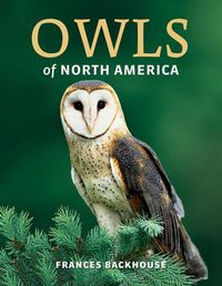 Cover image for Owls of North America