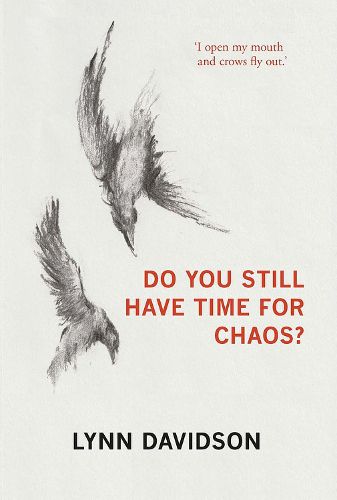 Cover image for Do You Still Have Time for Chaos?