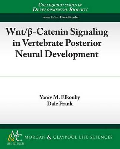 Cover image for Wnt/?-Catenin Signaling in Vertebrate Posterior Neural Development