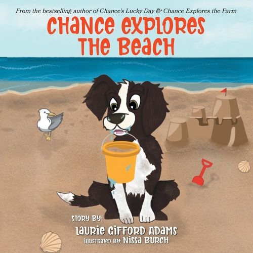 Cover image for Chance Explores the Beach