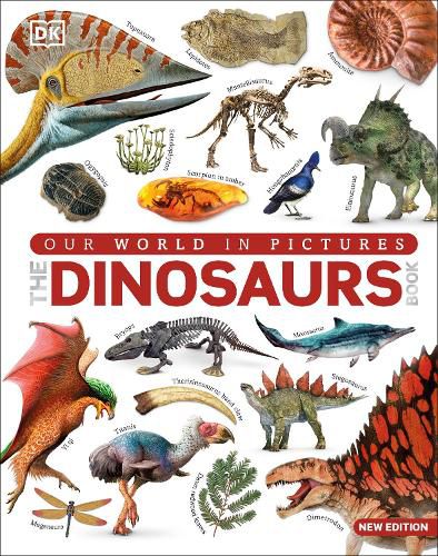 Cover image for The Dinosaur Book