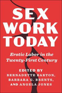 Cover image for Sex Work Today