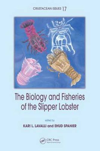 Cover image for The Biology and Fisheries of the Slipper Lobster