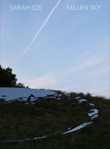 Cover image for Sarah Sze: Fallen Sky