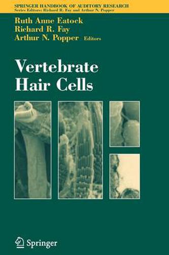 Vertebrate Hair Cells