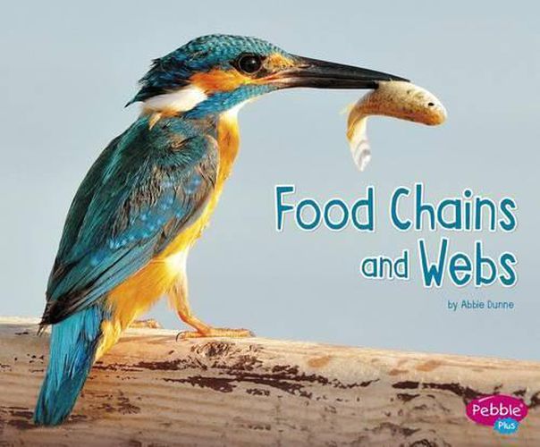 Cover image for Food Chains and Webs (Life Science)