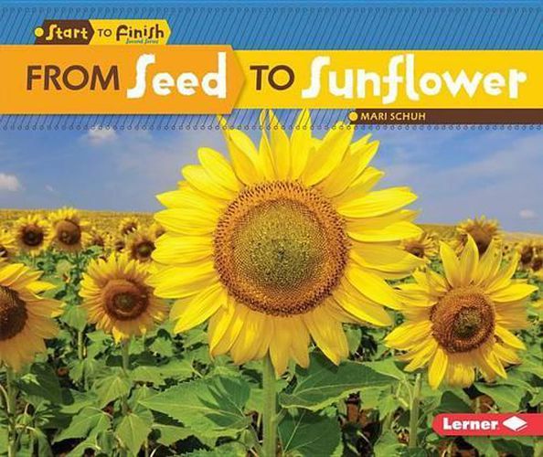 Cover image for From Seed to Sunflower