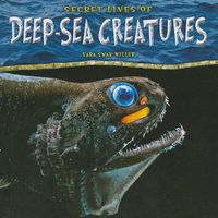 Cover image for Secret Lives of Deep-sea Creatures