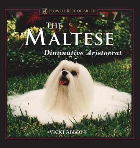 Cover image for The Maltese