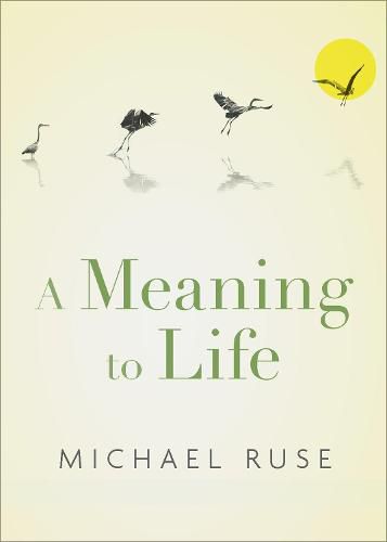 Cover image for A Meaning to Life