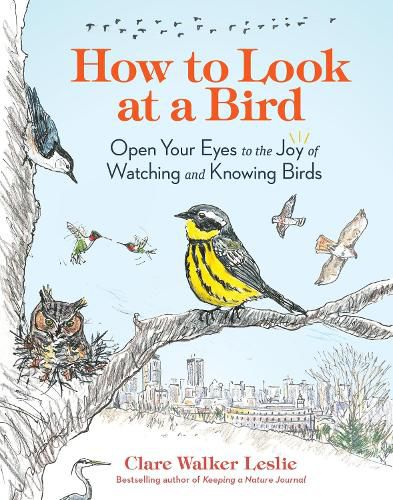 Cover image for How to Look at a Bird