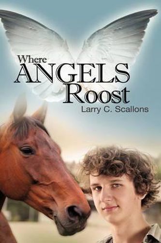 Cover image for Where Angels Roost