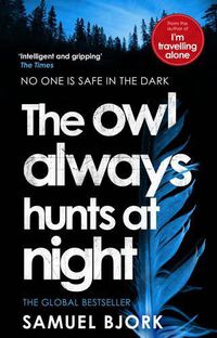 Cover image for The Owl Always Hunts at Night: (Munch and Kruger Book 2)