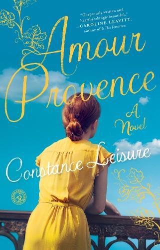 Cover image for Amour Provence: A Novel