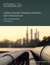 Cover image for Carbon Dioxide Utilization Markets and Infrastructure