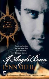 Cover image for If Angels Burn