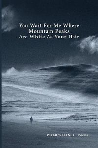 Cover image for You Wait For Me Where Mountain Peaks Are White As Your Hair