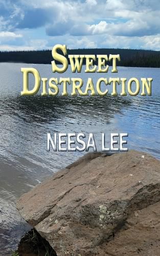 Cover image for Sweet Distraction