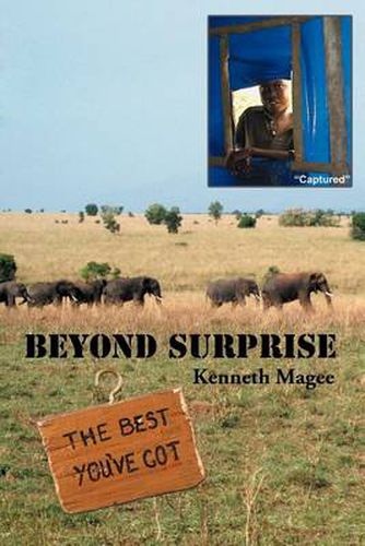 Cover image for Beyond Surprise