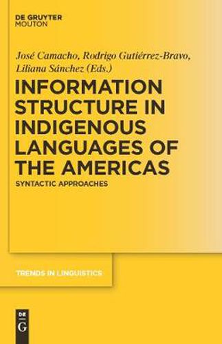 Cover image for Information Structure in Indigenous Languages of the Americas: Syntactic Approaches