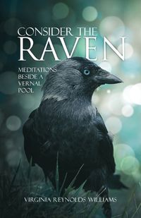 Cover image for Consider The Raven