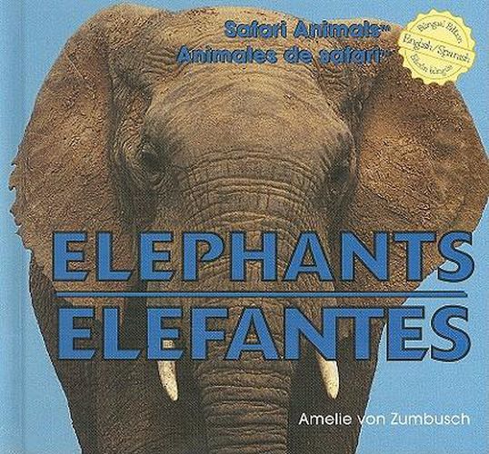 Elephants / Elefantes