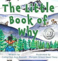 Cover image for The Little Book of Why