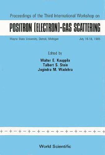 Cover image for Positron (Electron): Gas Scattering - Proceedings Of The Third International Workshop