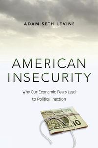 Cover image for American Insecurity: Why Our Economic Fears Lead to Political Inaction