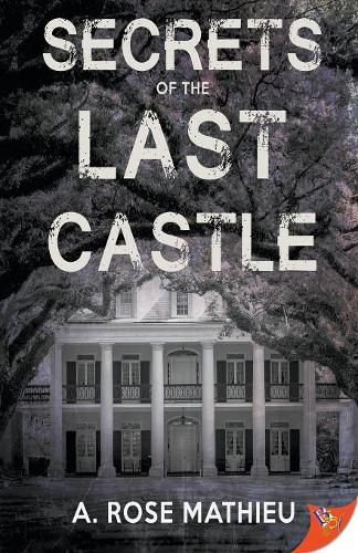 Cover image for Secrets of the Last Castle