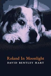 Cover image for Roland in Moonlight