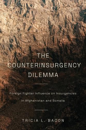 Cover image for The Counterinsurgency Dilemma
