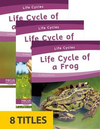 Cover image for Life Cycles (Set of 8)