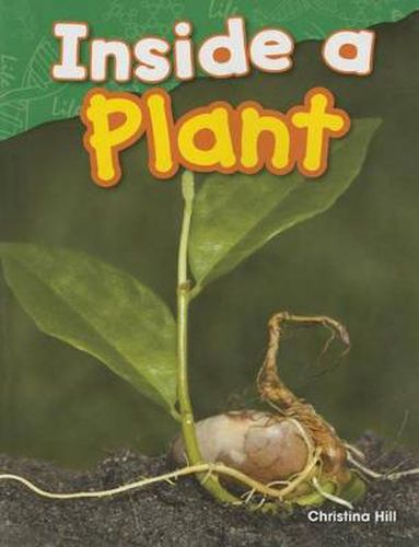 Cover image for Inside a Plant