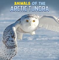 Cover image for Animals of the Arctic Tundra