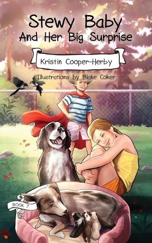 Cover image for Stewy Baby And Her Big Surprise