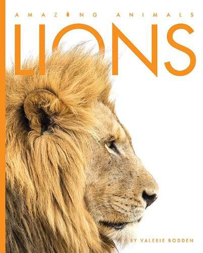 Cover image for Lions