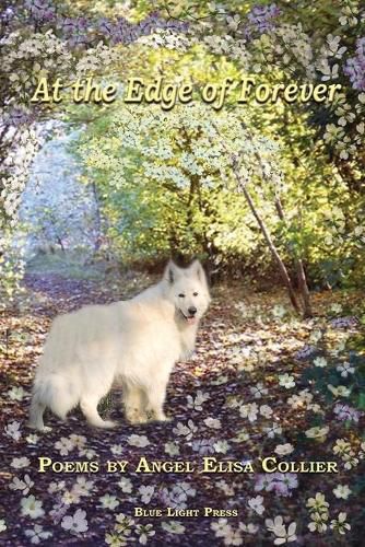 Cover image for At The Edge Of Forever