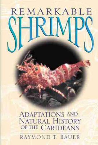 Cover image for Remarkable Shrimps: Adaptations and Natural History of the Carideans