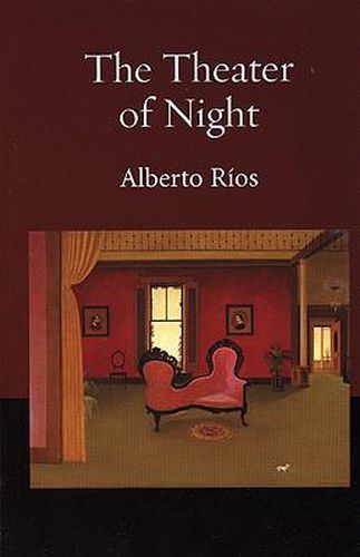 Cover image for The Theater of Night