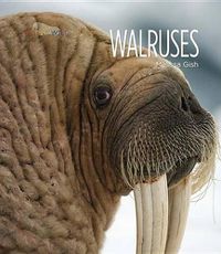 Cover image for Walruses