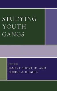 Cover image for Studying Youth Gangs