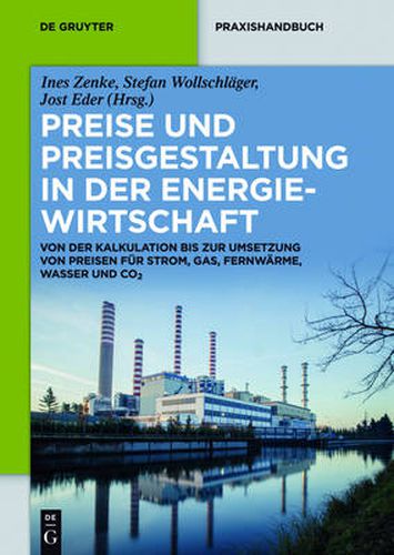 Preise Und Preisgestaltung in Der Energiewirtschaft: Von Der Kalkulation Bis Zur Umsetzung Von Preisen Fur Strom, Gas, Fernwarme, Wasser Und Co&#8322;