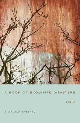 A Book of Exquisite Disasters