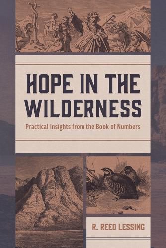 Cover image for Hope in the Wilderness