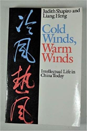 Cover image for Cold Winds, Warm Winds: Intellectual Life in China Today