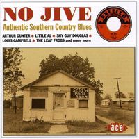 Cover image for No Jive Authentic Southern Country Blues