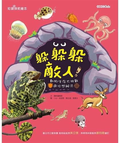 Cover image for Hide from the Enemy