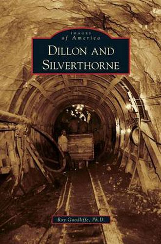 Cover image for Dillon and Silverthorne