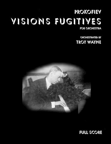Cover image for Visions Fugitives